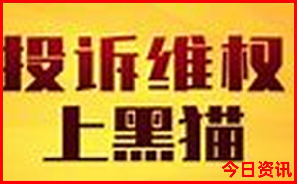 廖雨苇个人资料